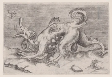 Il drago e l