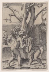 Due Cupidi