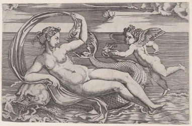 Venere reclinata su un delfino, ca. 1516