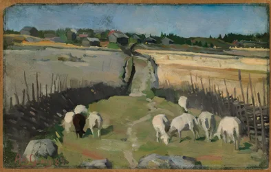 Paesaggio con pecore
