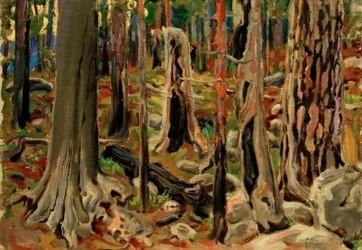 La foresta bruciata
