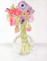 Anemoni, 1982