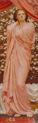 Fiori