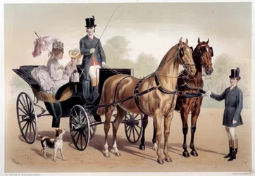 Una carrozza con cavalli anglo-normanni. Stampa di Albert Adam (1833-?) XIX secolo Parigi, Museo Carnavalet