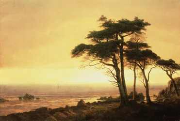 Costa della California