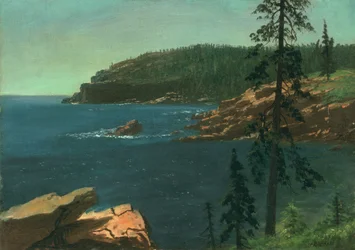 Costa della California