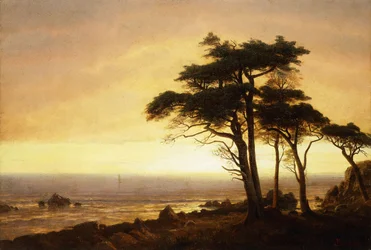 Costa della California