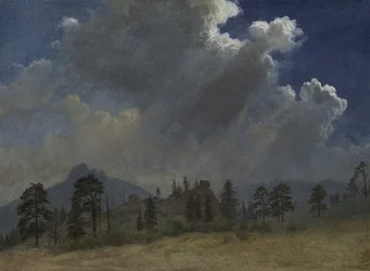 Abeti e nuvole di tempesta