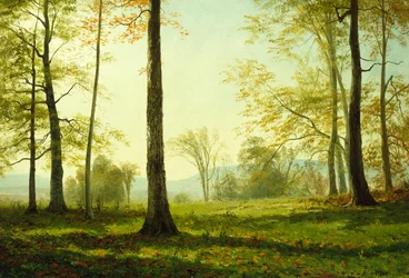 Nella valle dello Yosemite (olio)