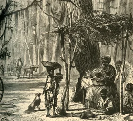 Scena lungo la strada vicino a Charleston