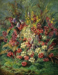 Campanule, erica di frassino, ginestra e farfalle. Dipinto di Albert Durer Lucas (1828-1918)