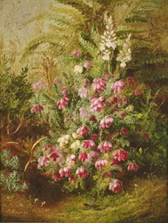 Cavalletta e erica