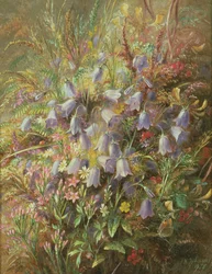 Campanule e altri fiori e erbe del bosco