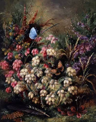 Farfalla nell
