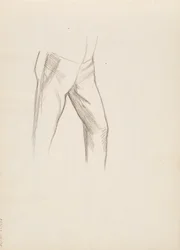 La parte inferiore del corpo maschile