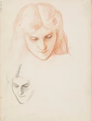 Il volto di una donna