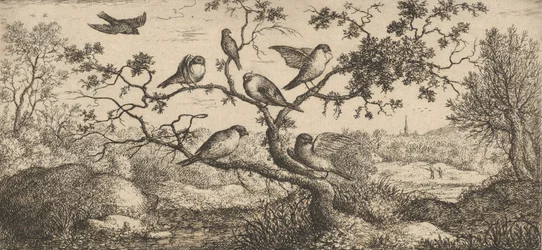 Ficedula, Piuoyne Il Ciuffolotto: Libro degli Uccelli, 1655-1660