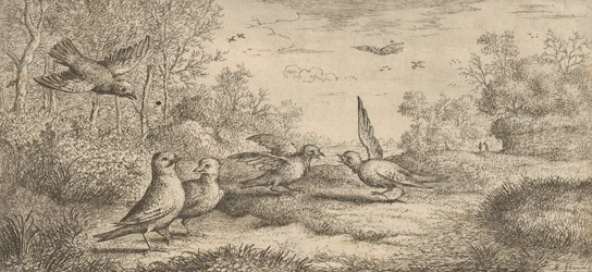 Garrulus, Gey The Jay: Livre d