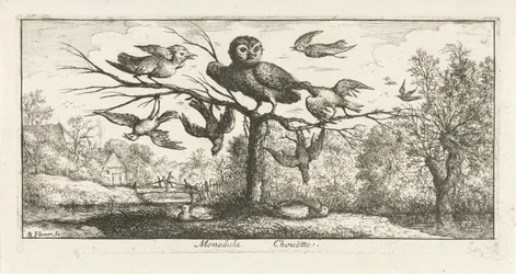 Paesaggio con gufo tra altri uccelli