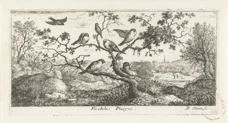 Paesaggio con beccacce (libro degli uccelli)
