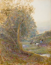 Un sentiero nel Devonshire