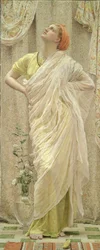 Uccelli