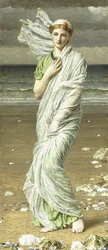 Conchiglie marine, 1875