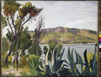 Paesaggio con agave