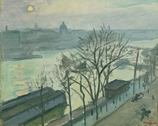 Sole su Parigi (Sole visto attraverso gli alberi)