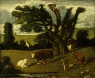 Studio pastorale