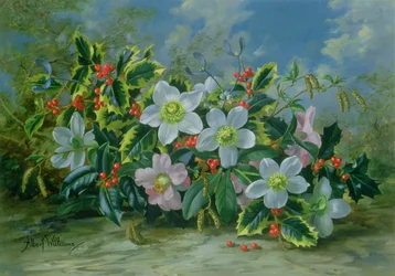 Rose di Natale e Agrifoglio