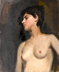 Mezzo nudo femminile. Sfondo nero. Ca. 1880
