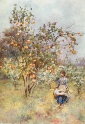 Alberi di limone: primavera