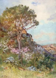 Vicino a Calatafimi