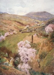 Giornata di primavera in una valle vicino a Girgenti