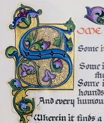Fotografia di dettaglio calligrafico della lettera S su una pagina illuminata di un libro di Sh...