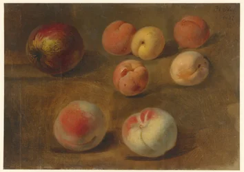 Natura morta con mela, pesche e albicocche