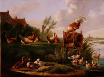 Anatre e pollame su una riva del fiume