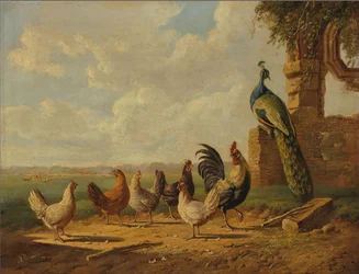Galline e pavone in un paesaggio