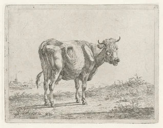 Mucca in piedi