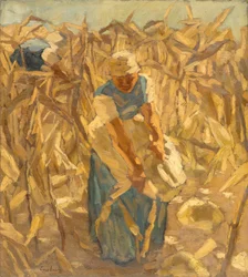 Raccolta del grano