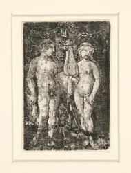 Ercole e Musa