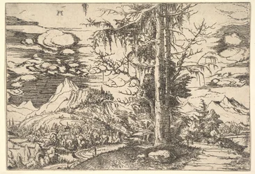 Paesaggio con un doppio abete, ca. 1521-22