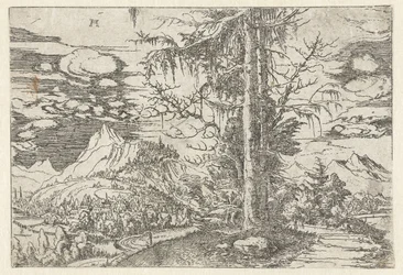 Paesaggio con doppio abete