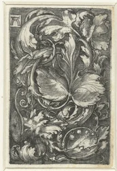 Ornamento con tralci di foglie