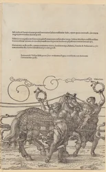 Acrimonia, foglio 6 della serie "Il grande carro trionfale"