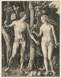 Adamo ed Eva, 1504