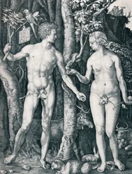 Adamo ed Eva, 1504 1906