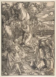 Agonia nel giardino
