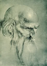 Testa di apostolo